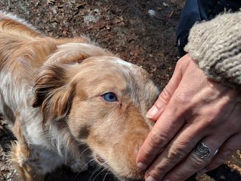 Close-up of woman with dog