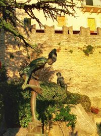 Bird perching on statue against tree