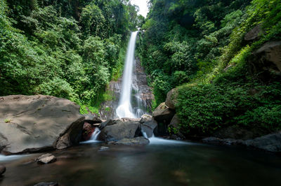 Waterfall in forest