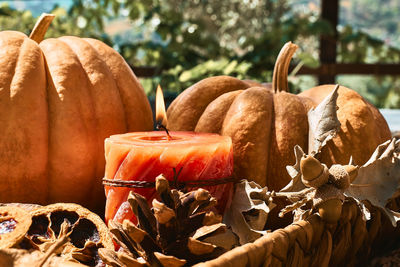 Cozy warm autumn composition with burning candle and pumpkins on knitted woolen plaid.