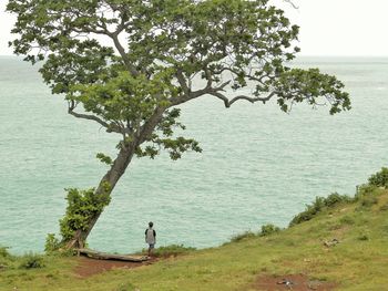 Rear view of man sitting on tree by sea
