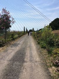 Rear view of people walking on road against sky