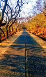 Road amidst trees against sky