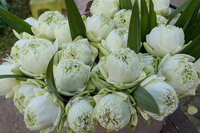 Close-up of white flowers for sale in market