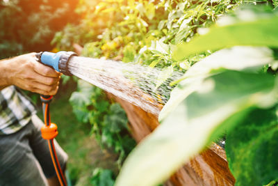 Low section of woman holding plant