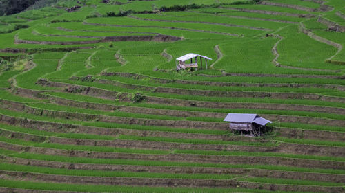 High angle view of agricultural field