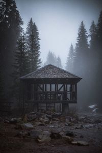 Abandoned house on field against trees in forest