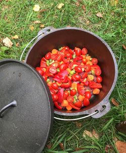 High angle view of fresh vegetables in grass