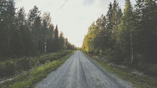 Dirt road amidst trees against sky