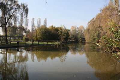 Reflection of trees in lake against sky