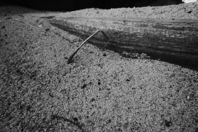 High angle view of crab on sand