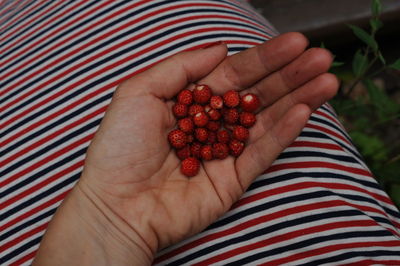 Close-up of hand holding strawberries