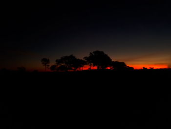 Silhouette trees against clear sky at sunset