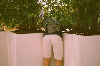 Rear view of person standing by tree