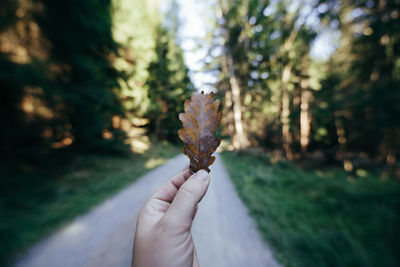 Close-up of hand holding autumn leaf