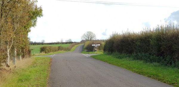 Empty road amidst trees against sky