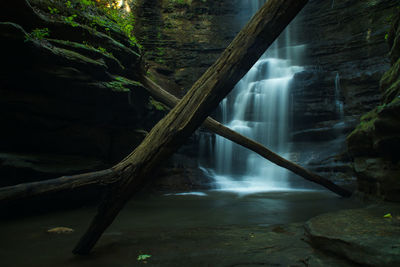 Scenic view of waterfall in forest