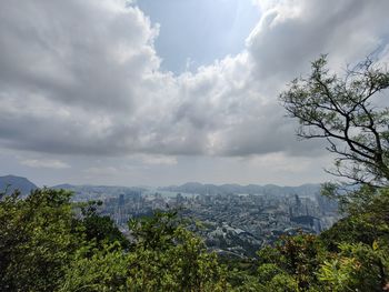 nature