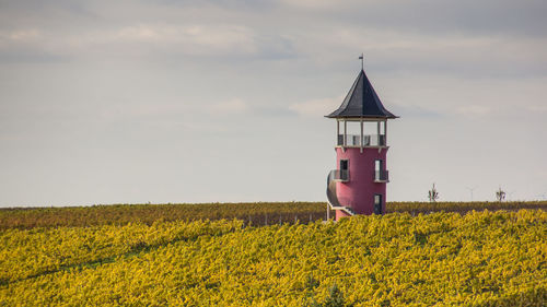 View of yellow flowers in field against sky