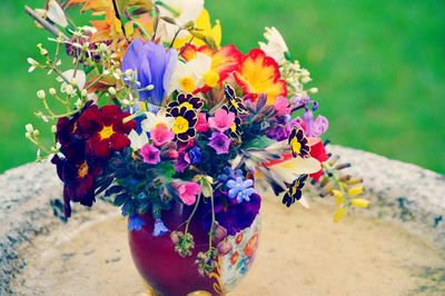 Close-up of multi colored flowers