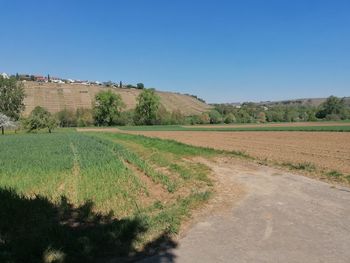 Scenic view of field against clear blue sky