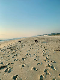 Scenic view of beach against clear sky