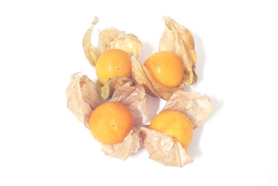 Close-up of orange fruit against white background