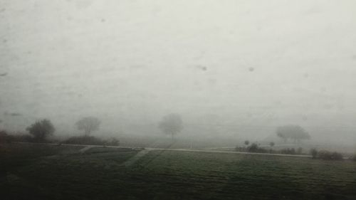 Scenic view of field against sky during foggy weather