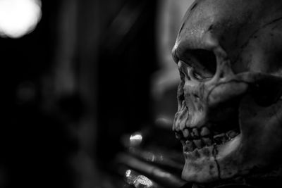 Close-up of human skull at santa maria sopra minerva