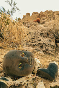 Broken babydoll parts, burned and abandon in desert. 