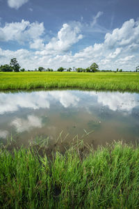 Scenic view of field against sky