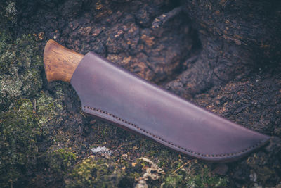 High angle view of rock on land