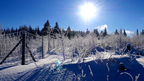 Scenic view of field during winter