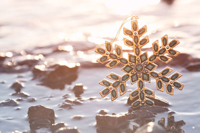 Close-up of snowflake in lake