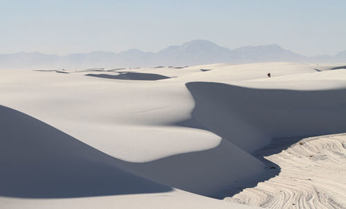 Gypsum sand dunes in white sands national park in late afternoon