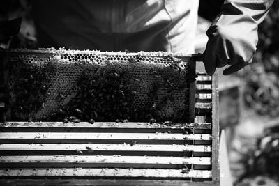 Close-up of bee on hand against blurred background