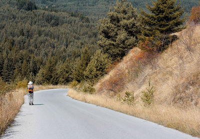 Rear view of woman walking on road 