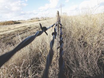 Barbed wire fence on field against sky