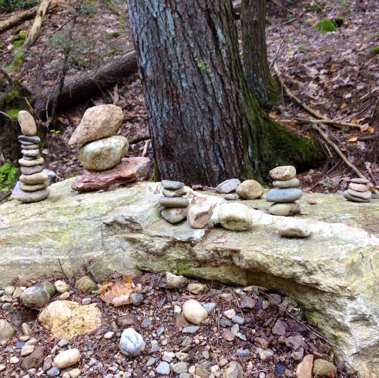 tranquility, rock - object, nature, forest, tree, stone - object, tree trunk, log, tranquil scene, stone, stack, abundance, wood - material, beauty in nature, textured, outdoors, day, deforestation, rock, scenics