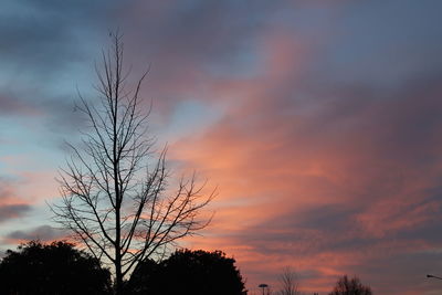 Close-up of silhouette tree against sky at sunset