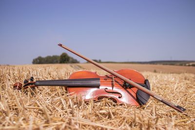 Violin on field against clear sky