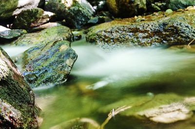 Scenic view of waterfall