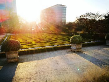 Close-up of city against sunlight