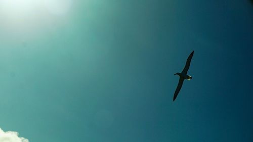 Low angle view of helicopter flying against blue sky