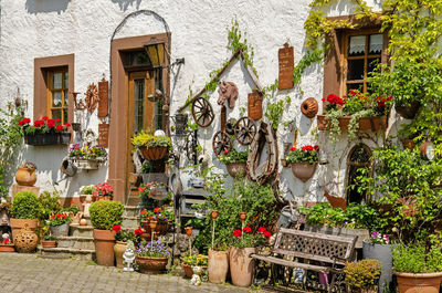 White plaster facade with pots, plants, wheels and other traditional objects