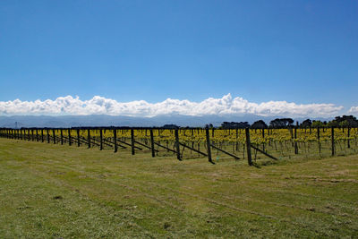 Fence on field against sky