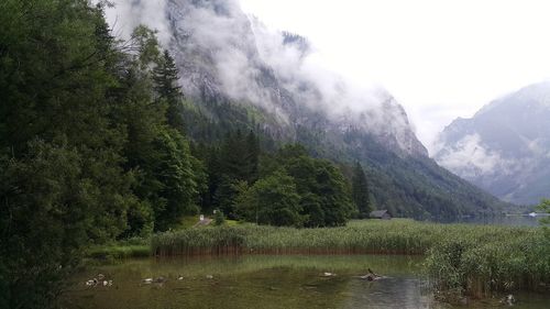 Scenic view of lake in forest against sky