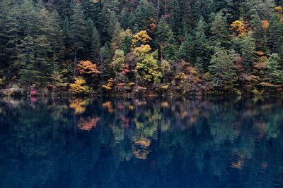 Reflection of trees in lake against sky