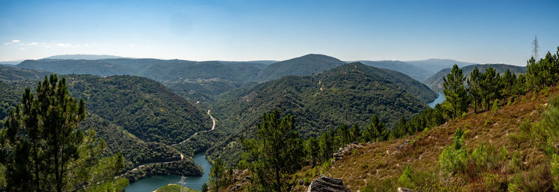 Panoramic shot of plants and mountains against sky