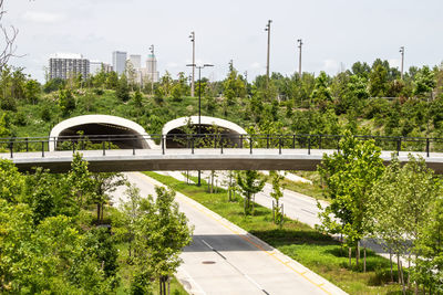 Road by trees against sky in city